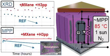 Graphical abstract: Stabilizing perovskite solar cells at 85 °C via additive engineering and MXene interlayers