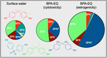 Graphical abstract: Introducing BPA-equivalents: assessing mixture toxicity and substitution of BPA in environmental exposure scenarios