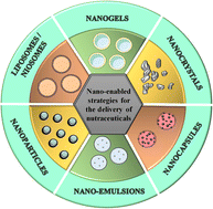 Graphical abstract: Recent overview of nanotechnology based approaches for targeted delivery of nutraceuticals