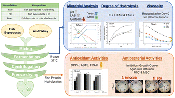Graphical abstract: Sustainable valorization of fish byproducts and acid whey through lactic acid bacteria fermentation into bioactive hydrolysates