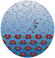 Graphical abstract: Atomistic insight into the interaction of aspartic acid species with calcium carbonate: model development