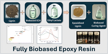 Graphical abstract: In-depth analysis of kraft lignin epoxy thermosets