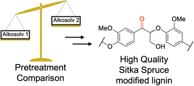 Graphical abstract: Organosolv processing of Sitka spruce sawdust: large scale preparation of native-like lignin and ligninOX for valorisation
