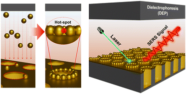 Graphical abstract: Well-defined assembly of plasmonic metal nanoparticles by dielectrophoresis for highly sensitive SERS-active substrates