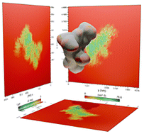 Graphical abstract: CytroCell: a computational study in aqueous solution and infrared spectroscopic structural characterization