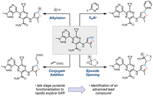 Graphical abstract: Synthetic chemistry enabling the discovery and development of a series of pyrazoles as HPK1 inhibitors