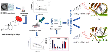 Graphical abstract: Discovery of novel progesterone-heterocyclic conjugates and their encapsulated polymeric nanoparticles as potential CDK8 inhibitors: lung cytotoxicity evaluation, gene expression, and molecular docking