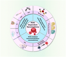 Graphical abstract: Reactive oxygen species-dependent nanomedicine therapeutic modalities for gastric cancer
