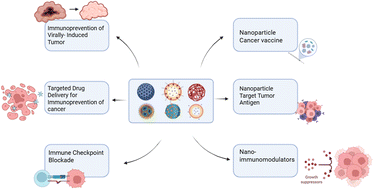 Graphical abstract: Nanomedicine revolutionizing cancer immunotherapy: recent advancements in nanotechnological strategies and applications