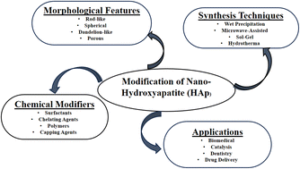 Graphical abstract: Effects of different types of modifiers on structural variation of nano-hydroxyapatite for efficient application