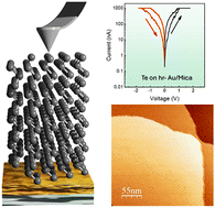 Graphical abstract: Tailoring resistive switching in ultra-thin tellurium films by interface engineering