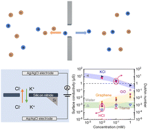 Graphical abstract: Revisiting ion transport through micropores: significant and non-negligible surface transport