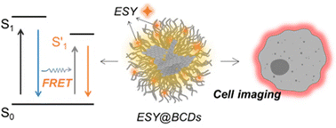 Graphical abstract: Carbon-dot-supported small molecule dyes as a light-harvesting platform for cell imaging