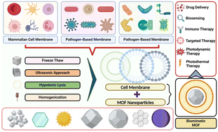 Graphical abstract: Metal–organic frameworks: a biomimetic odyssey in cancer theranostics