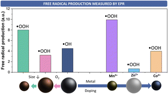 Graphical abstract: Insights into the formation of free radicals using metal ferrite nanocatalysts (MFe2O4, M = Fe, Mn, Zn, Co) prepared by a highly reproducible microwave-assisted polyol method
