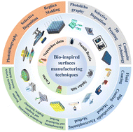 Graphical abstract: Nature-inspired interface fluid behaviors, superhydrophobic material design, and droplet dynamics: a systematic review