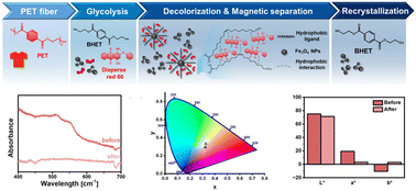 Graphical abstract: Ligand-controlled Fe3O4 nanoparticles as reusable adsorbents for dye removal in the chemical recycling of coloured polyester textiles
