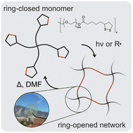 Graphical abstract: Multifunctional dithiolane monomers for multi-scale, recyclable light-driven additive manufacturing