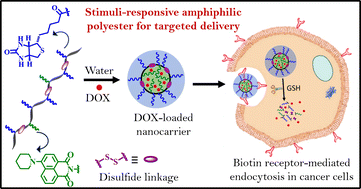 Graphical abstract: Glutathione-responsive degradable amphiphilic polyester-based nanocarriers for targeted drug delivery