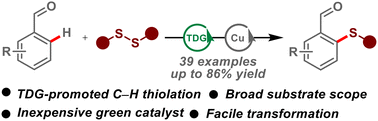 Graphical abstract: Copper-catalyzed aryl ortho-C–H thiolation of aldehydes via a transient directing group strategy
