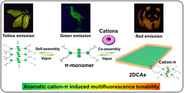Graphical abstract: Aromatic cation–π induced multifluorescence tunable two-dimensional co-assemblies for encoded information security
