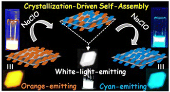 Graphical abstract: Crystallization-driven two-dimensional assemblies from a phenothiazine-conjugated poly(l-lactide): redox-responsive tunable emission, white-light harvesting and surface-enabled nanoparticle decoration