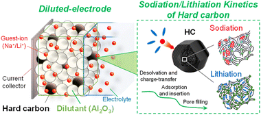 Graphical abstract: Revealing the kinetic limits of sodiation and lithiation at hard carbon using the diluted electrode method