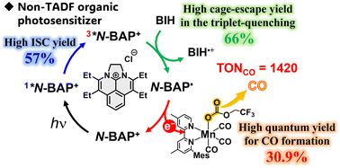 Graphical abstract: Photocatalytic CO2 reduction using a diazabenzacenaphthenium photosensitizer and a Mn catalyst