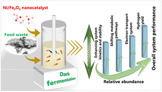 Graphical abstract: Genome-resolved insights into Ni/Fe2O3 nanocatalyst-enhanced dark fermentative hydrogen production from food waste