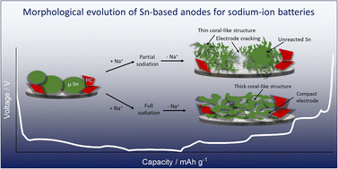Graphical abstract: Assessing the role of morphological changes as the origin of improved cycling stability of Sn-based anodes for sodium-ion batteries