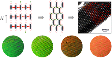 Graphical abstract: Magnetic assembly approach to hierarchical photonic stripes