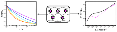 Graphical abstract: Investigation of the dynamic behavior of metallopolymers by combined experimental and theoretical methods