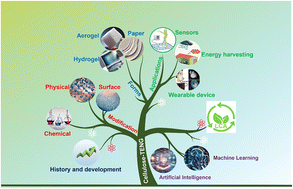Graphical abstract: Nature-inspired power generation: cellulose-centric triboelectric nanogenerators for next-generation electronics