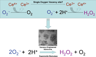 Graphical abstract: Superoxide dismutase mimetic properties exhibited by vacancy engineered ceria nanoparticles