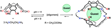 Graphical abstract: Templated dynamic cryptophane formation in water