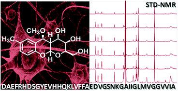 Graphical abstract: cis-Glyco-fused benzopyran compounds as new amyloid-β peptide ligands