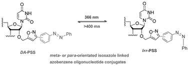 Graphical abstract: Oligo switches: photoresponsive oligonucleotide conjugates by solid-supported click chemistry