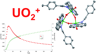 Graphical abstract: Magnetic communication and reactivity of a stable homometallic cation–cation trimer of pentavalent uranyl