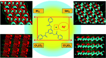 Graphical abstract: Assembly of Ag(i) coordination polymers from a tripyridyl-ester ligand: effects of counter anion, ligand conformation and π–π interaction on non-interpenetrating 2D → 3D dimension increase