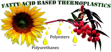 Graphical abstract: Structure–properties relationship of fatty acid-based thermoplastics as synthetic polymer mimics