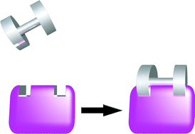 Graphical abstract: Enzyme inhibition by metal complexes: concepts, strategies and applications