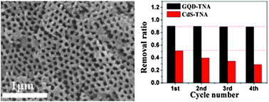 Graphical abstract: Electrophoretic fabrication of highly robust, efficient, and benign heterojunction photoelectrocatalysts based on graphene-quantum-dot sensitized TiO2 nanotube arrays