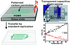 Graphical abstract: Transparent, stretchable, carbon-nanotube-inlaid conductors enabled by standard replication technology for capacitive pressure, strain and touch sensors