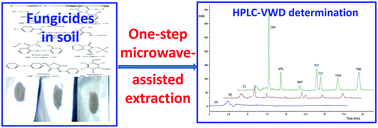 Graphical abstract: Development of a one-step microwave-assisted extraction procedure for highly efficient extraction of multiclass fungicides in soils