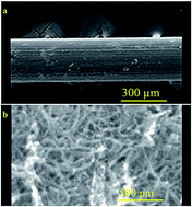 Graphical abstract: Carbon nanotubes/poly-ortho-aminophenol composite as a new coating for the headspace solid-phase microextraction of polycyclic aromatic hydrocarbons