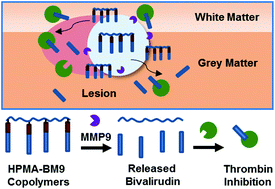 Graphical abstract: MMP9-sensitive polymers mediate environmentally-responsive bivalirudin release and thrombin inhibition