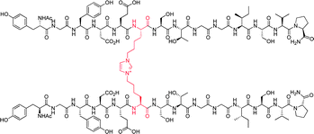 Graphical abstract: Site-specific cross-linking of collagen peptides by lysyl advanced glycation endproducts