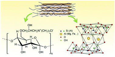 Graphical abstract: Bionanocomposites based on layered silicates and cationic starch as eco-friendly adsorbents for hexavalent chromium removal