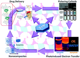 Graphical abstract: Surface modification of layered zirconium phosphates: a novel pathway to multifunctional materials