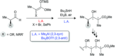 Graphical abstract: Stereocontrolled synthesis of propionate motifs from l-lactic and l-alanine aldehydes. A DFT study of the hydrogen transfer under endocyclic control